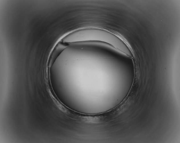 X0000083550996200703021646