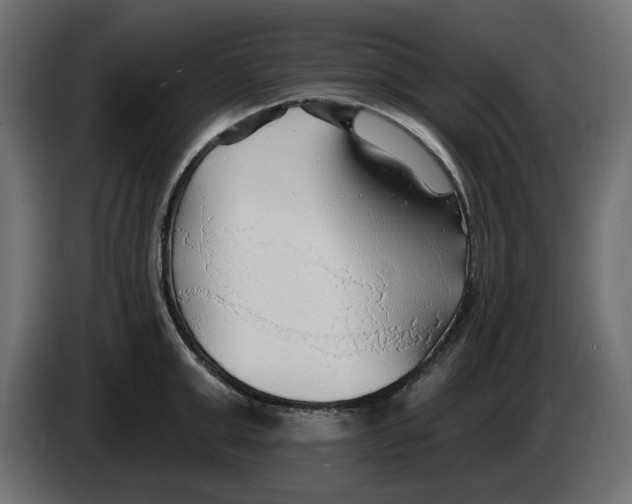 X0000083550999200703021646