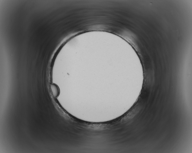 X0000083551000200703021646