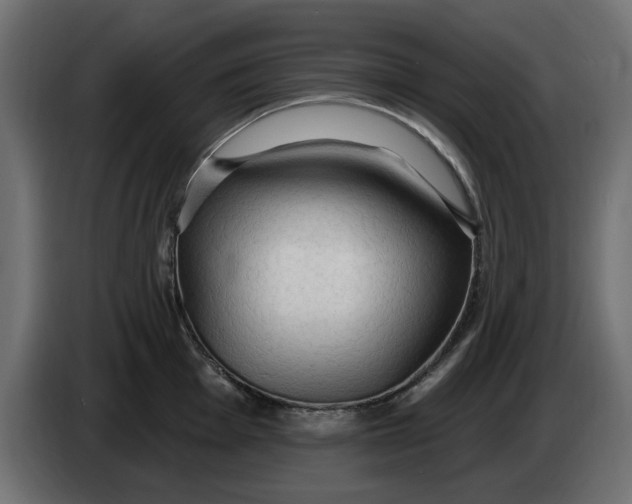 X0000083551001200703021646