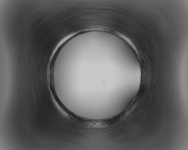 X0000083551003200703021646