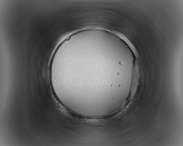 X0000083551004200703021646