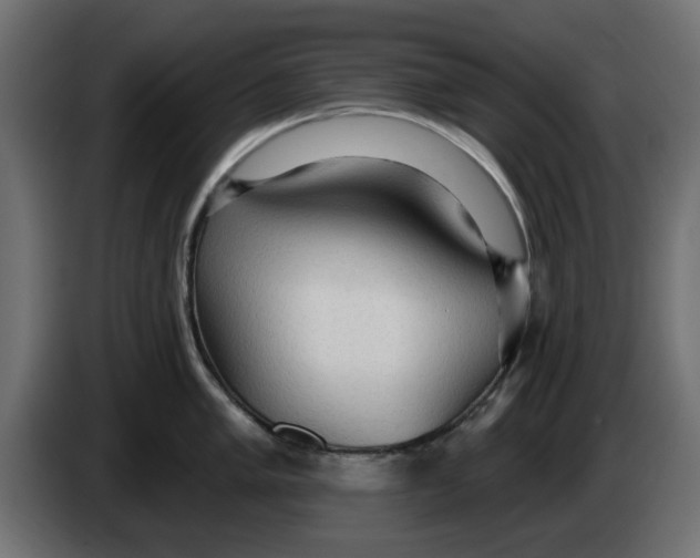 X0000083551005200703021646
