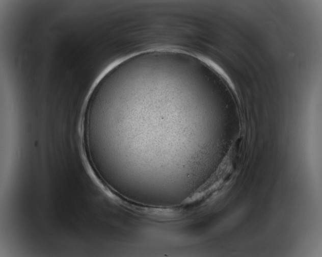 X0000083551007200703021646