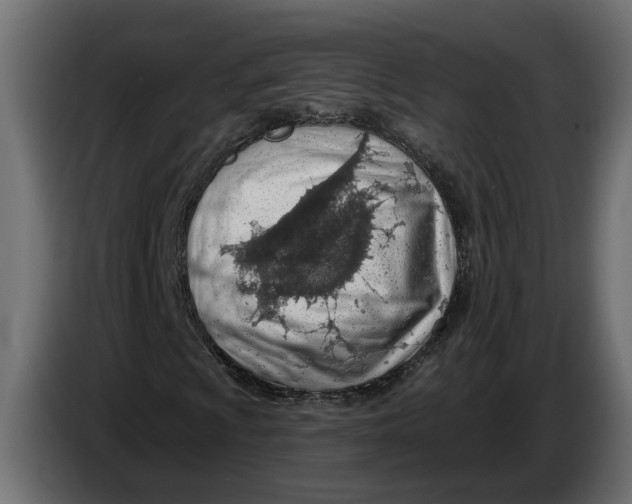 X0000083551009200703021645