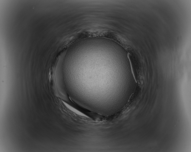 X0000083551010200703021645