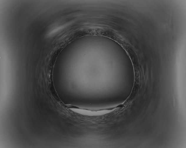 X0000083551013200703021645