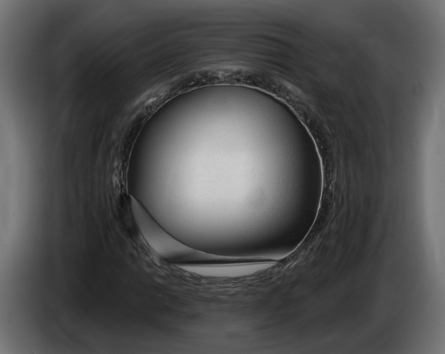 X0000083551014200703021645