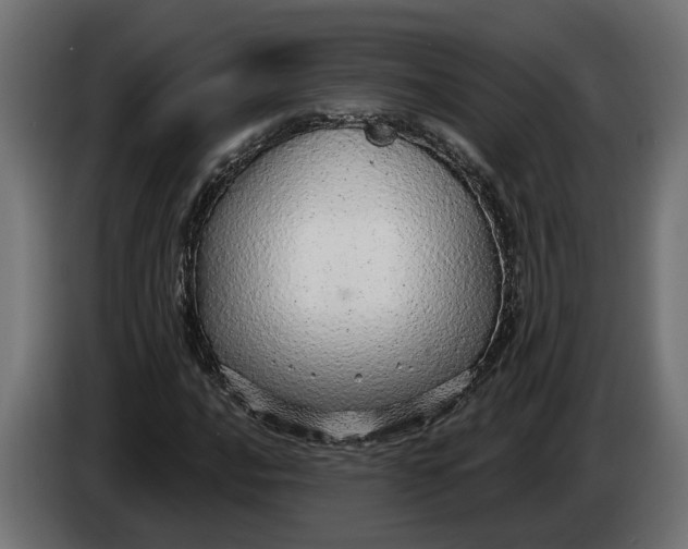 X0000083551016200703021645