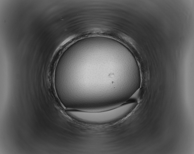 X0000083551018200703021645