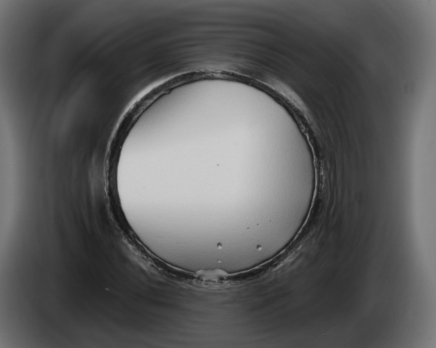 X0000083551020200703021645