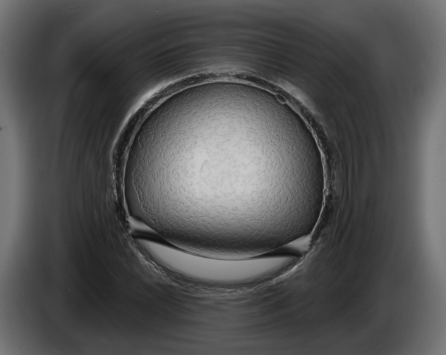 X0000083551022200703021645