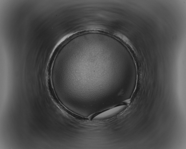 X0000083551024200703021645