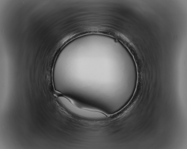 X0000083551025200703021645