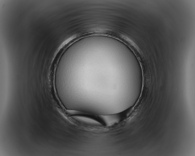 X0000083551026200703021645