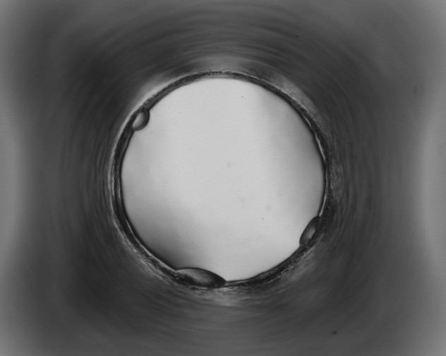 X0000083551028200703021645