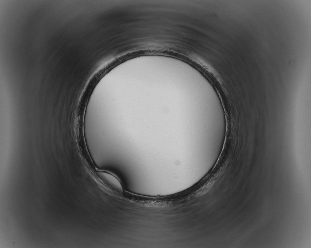 X0000083551029200703021645