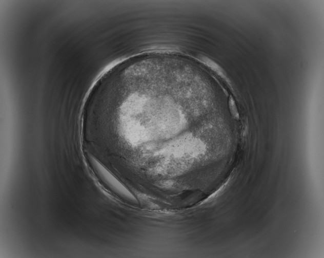 X0000083551030200703021645
