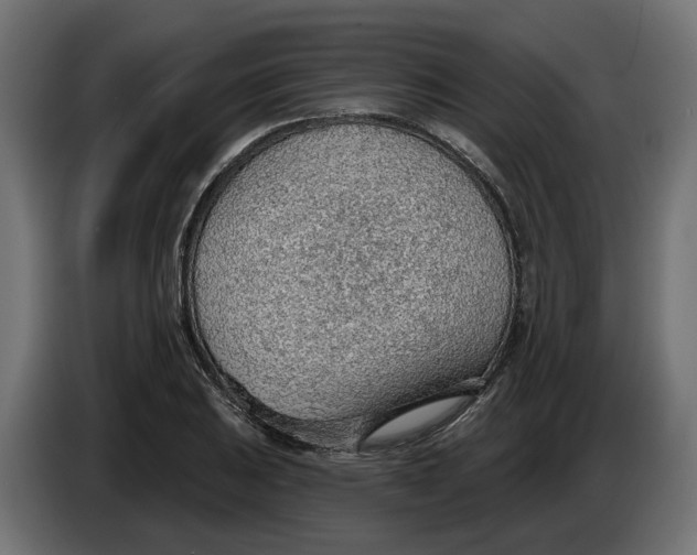 X0000083551031200703021645