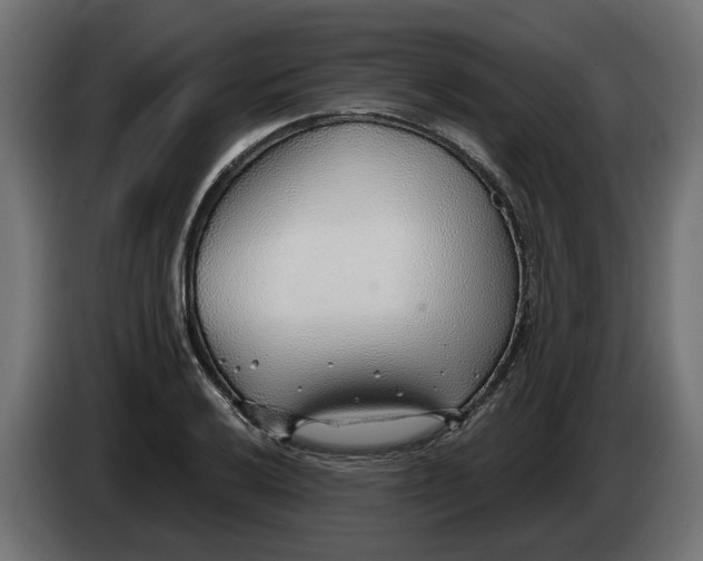 X0000083551032200703021645
