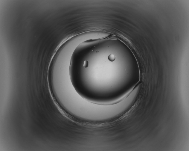 X0000083551034200703021645