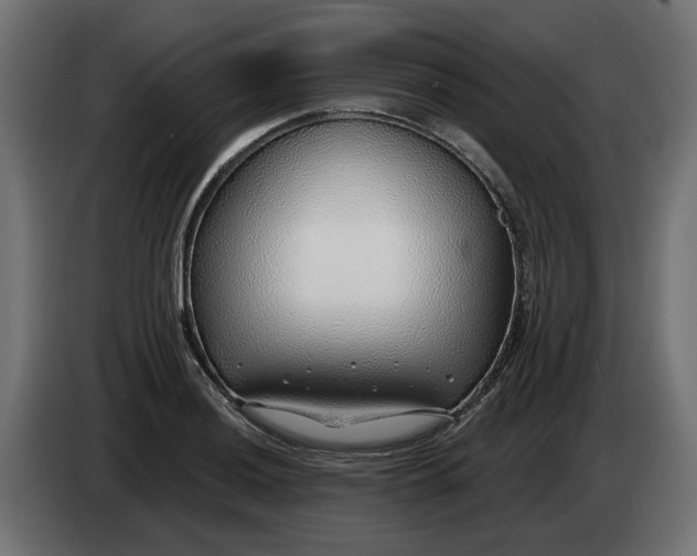 X0000083551036200703021645