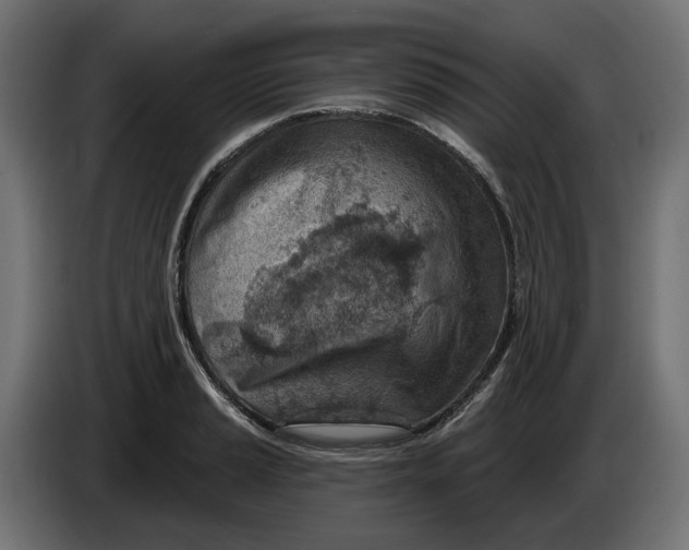 X0000083551037200703021645
