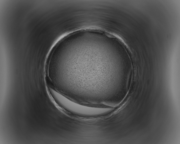 X0000083551038200703021645