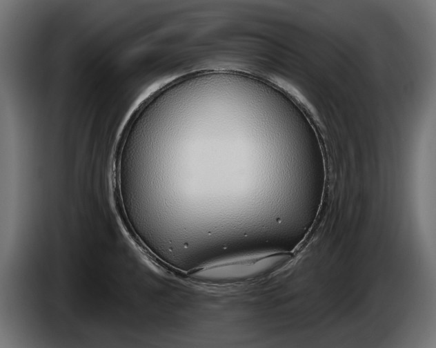 X0000083551040200703021645