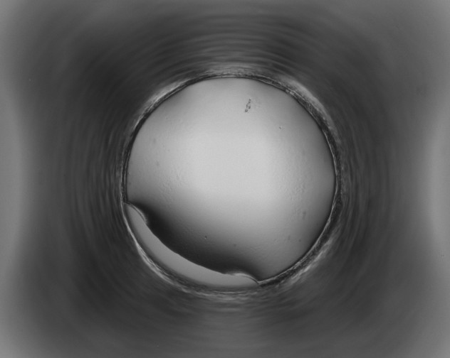 X0000083551041200703021645