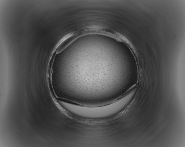 X0000083551042200703021645