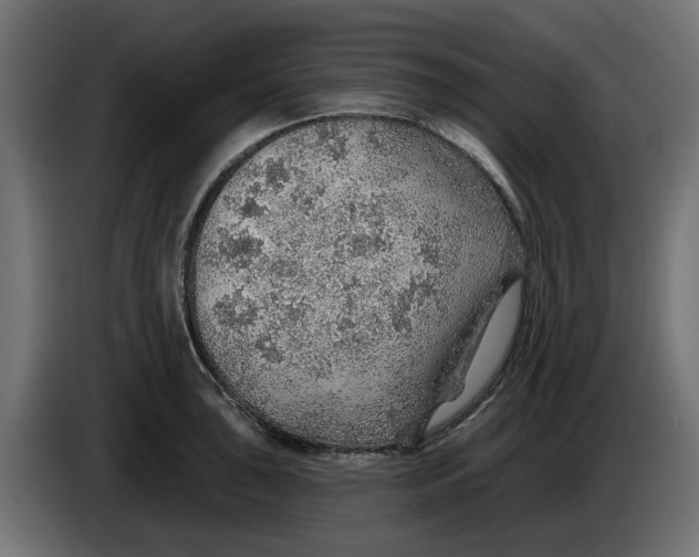 X0000083551043200703021645