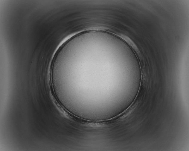 X0000083551044200703021645