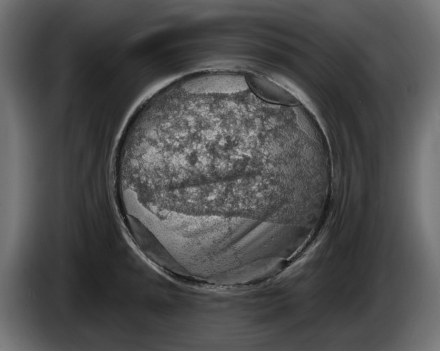 X0000083551045200703021645