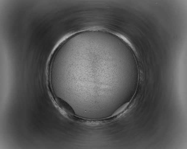 X0000083551046200703021645