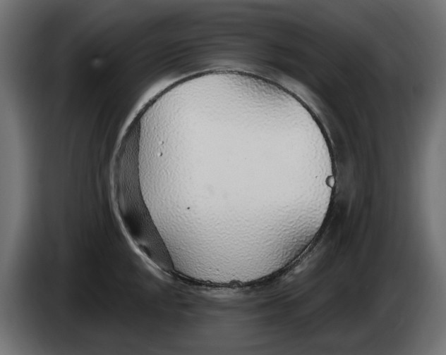 X0000083551048200703021645
