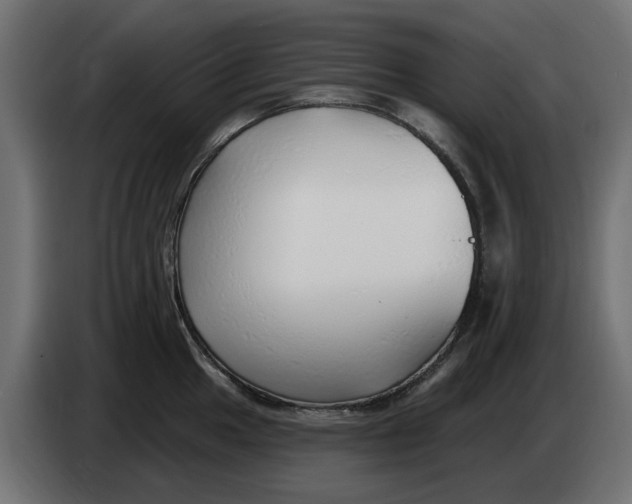 X0000083551049200703021645