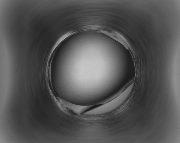 X0000083551050200703021645