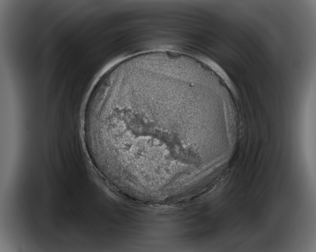 X0000083551051200703021645