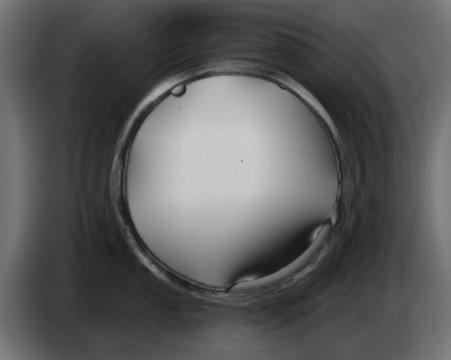 X0000083551053200703021645