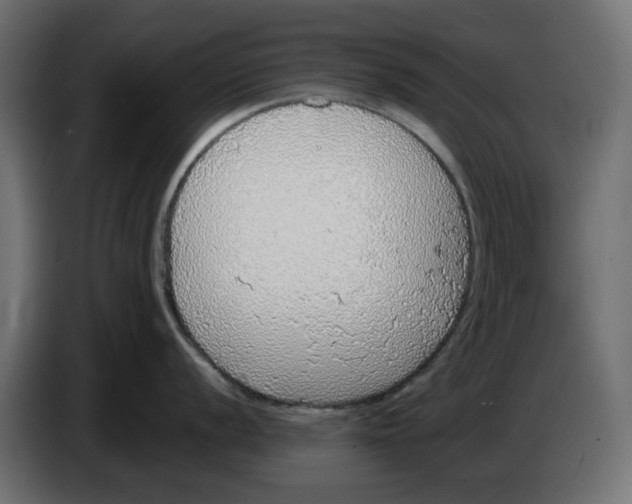 X0000083551056200703021646