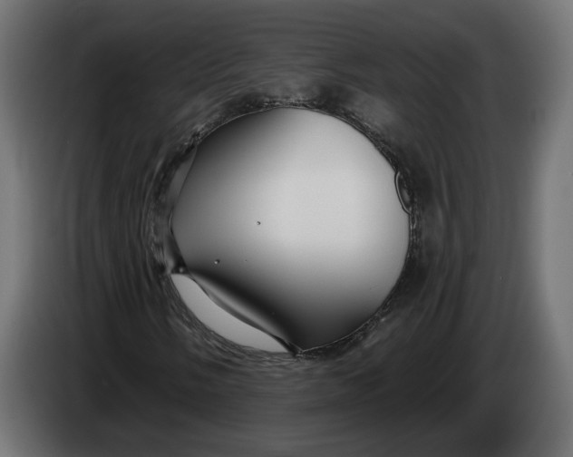 X0000083551058200703021645