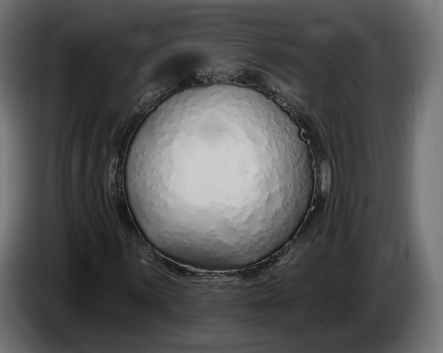 X0000083551059200703021645