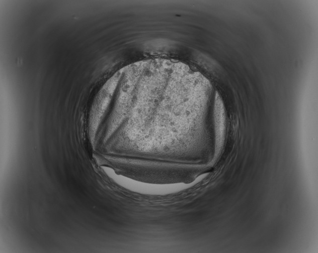 X0000083551060200703021645