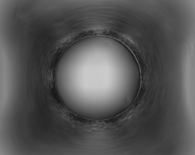 X0000083551062200703021645