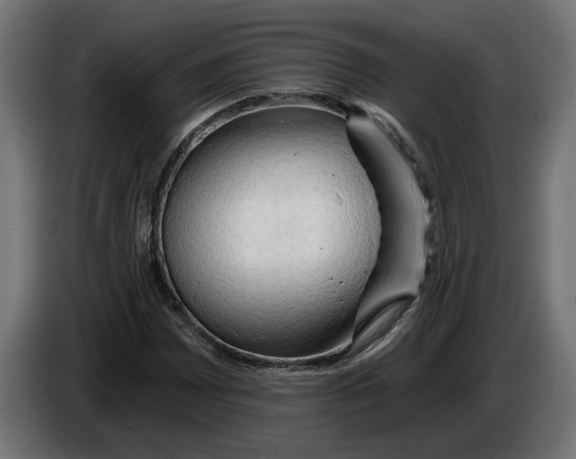 X0000083551065200703021645