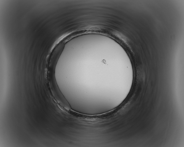 X0000083551066200703021645