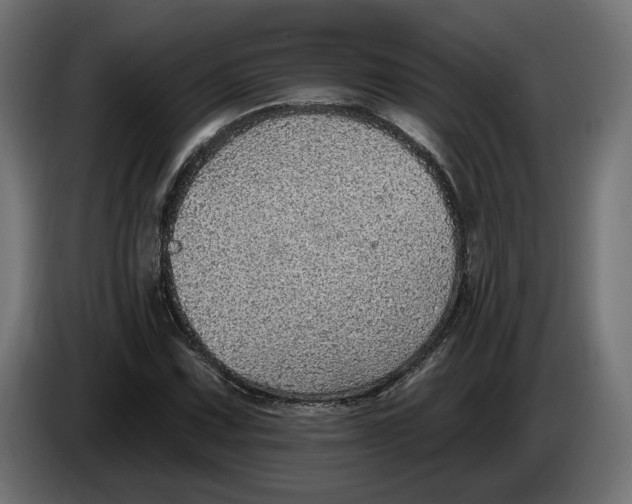 X0000083551067200703021645