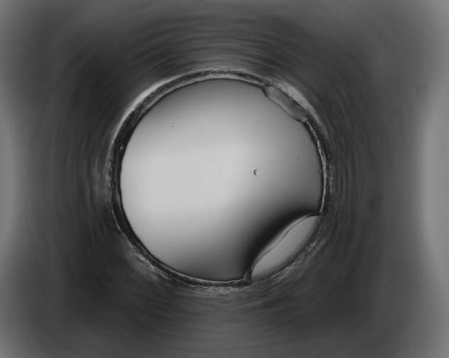 X0000083551068200703021644