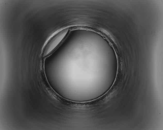 X0000083551069200703021644
